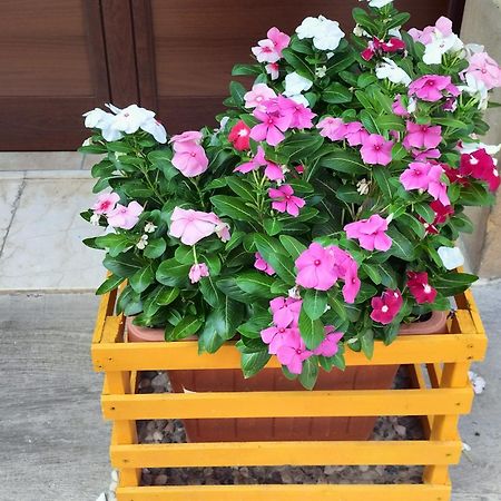 קלטפימי La Casa Di Anita Nel Cuore Di Segesta חדר תמונה