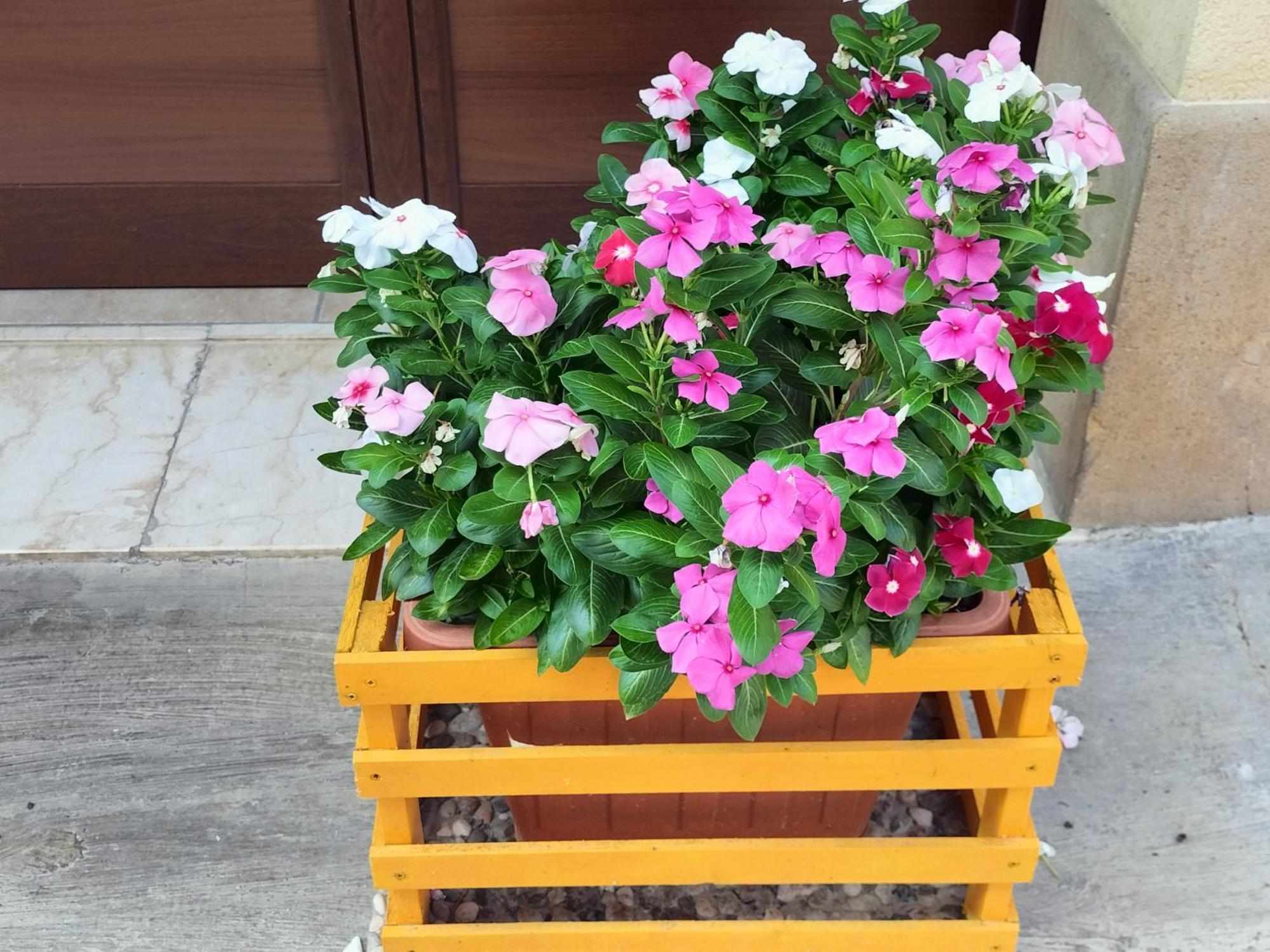 קלטפימי La Casa Di Anita Nel Cuore Di Segesta חדר תמונה